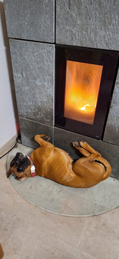 Phönix am Kamin