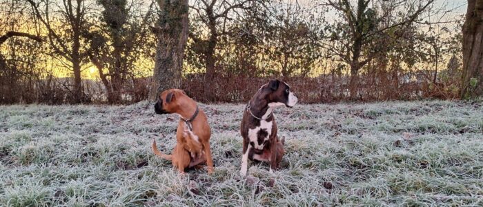 20251202_074939.jpg_compressed