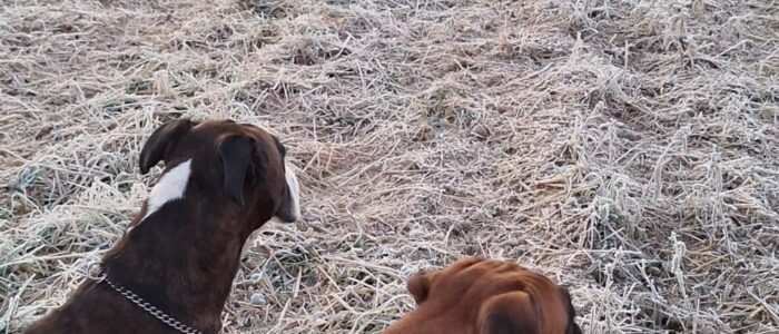 20251202_075309.jpg_compressed