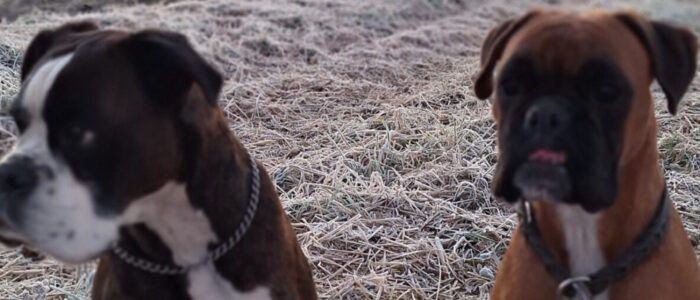 20251202_075324.jpg_compressed