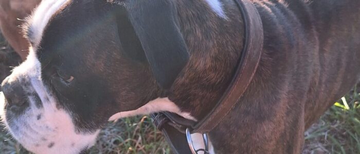 20251230_142827.jpg_compressed