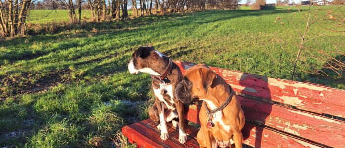 20251230_142940.jpg_compressed