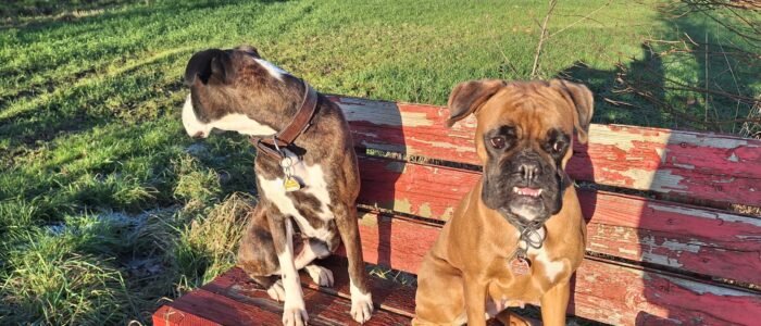 20251230_142948.jpg_compressed