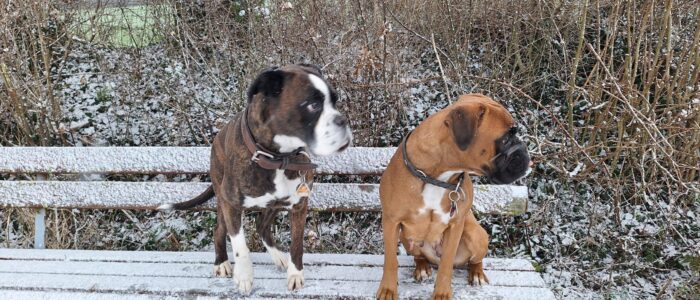 20260103_141554.jpg_compressed