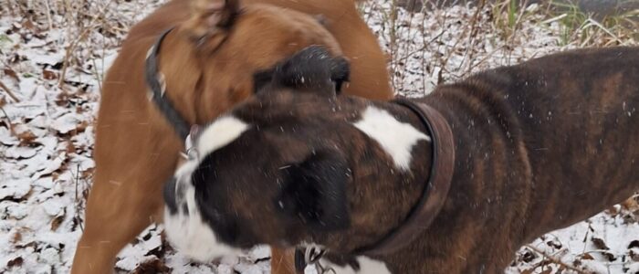 20260103_143120.jpg_compressed